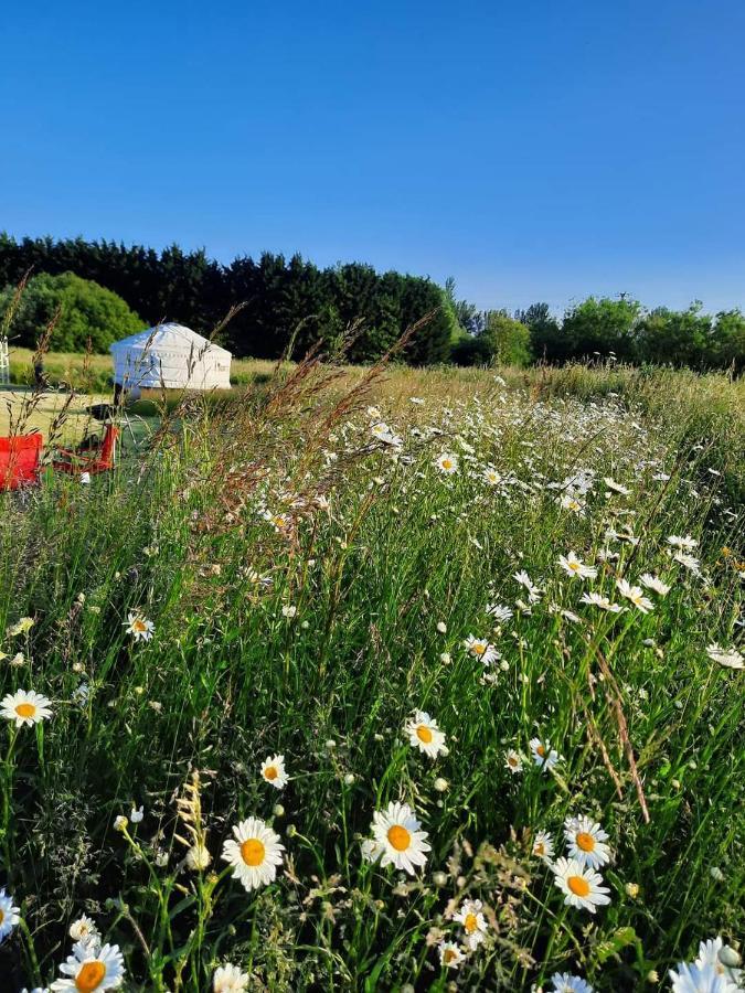 Cranfield Retreat & Glamping & Hobbit House Otel Long Melford Dış mekan fotoğraf