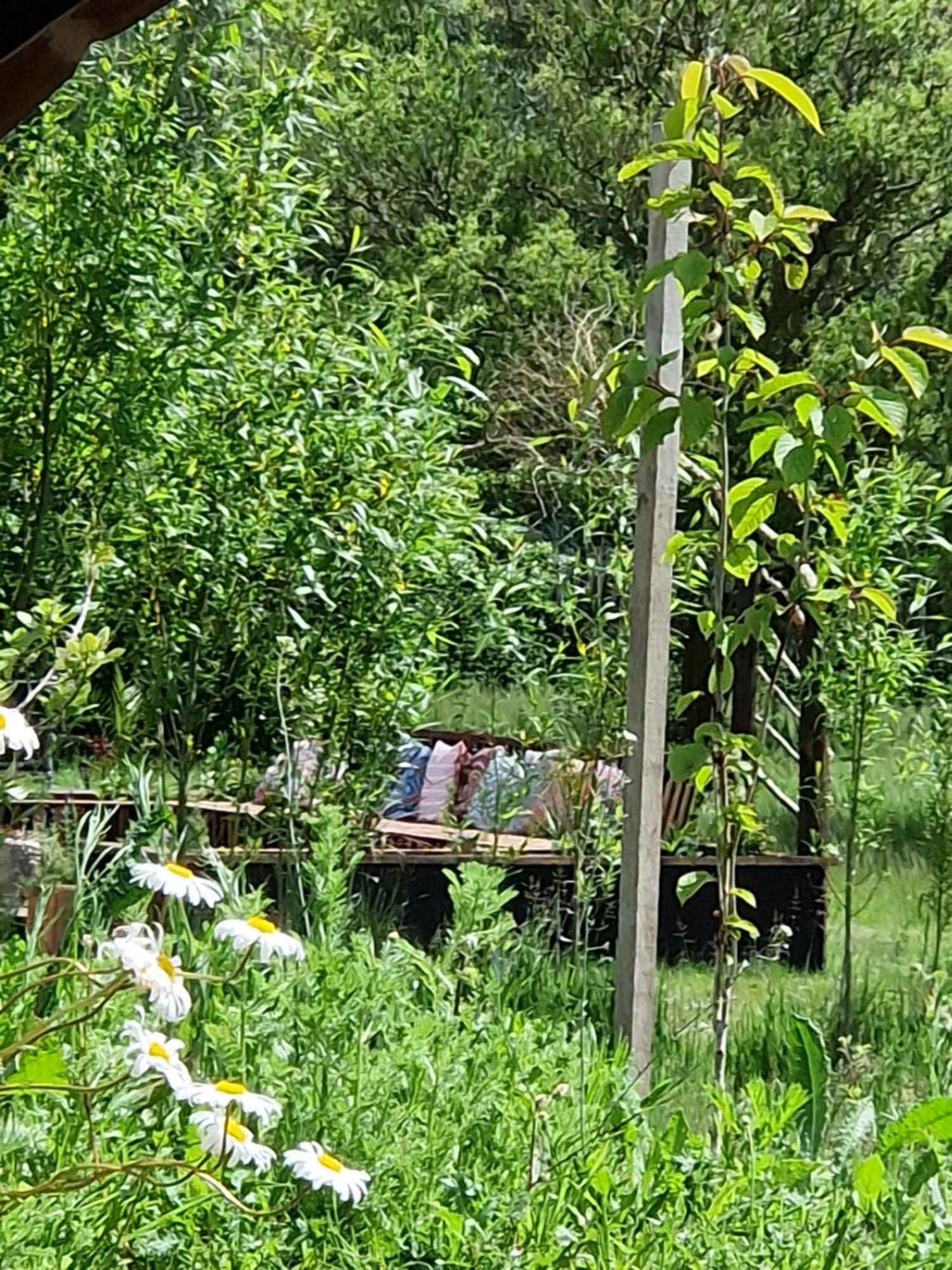 Cranfield Retreat & Glamping & Hobbit House Otel Long Melford Dış mekan fotoğraf