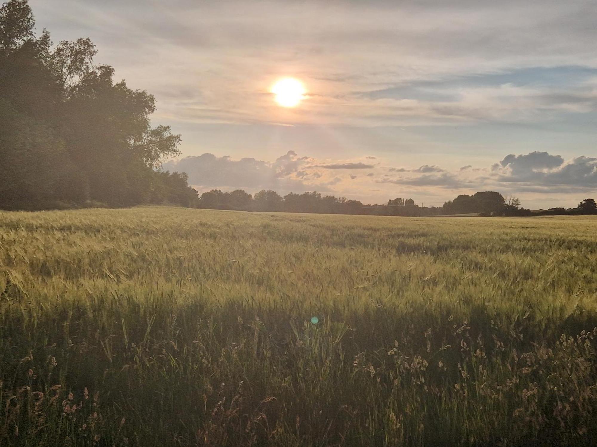 Cranfield Retreat & Glamping & Hobbit House Otel Long Melford Dış mekan fotoğraf
